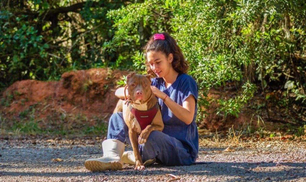 Prefeitura destaca melhorias e serviços oferecidos para o bem-estar animal. Foto = reprodução Prefeitura de Itabirito.