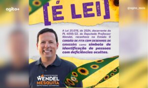 Lei 25.078/2024 reconhece o símbolo para pessoas com deficiências ocultas. Foto = reprodução redes sociais.