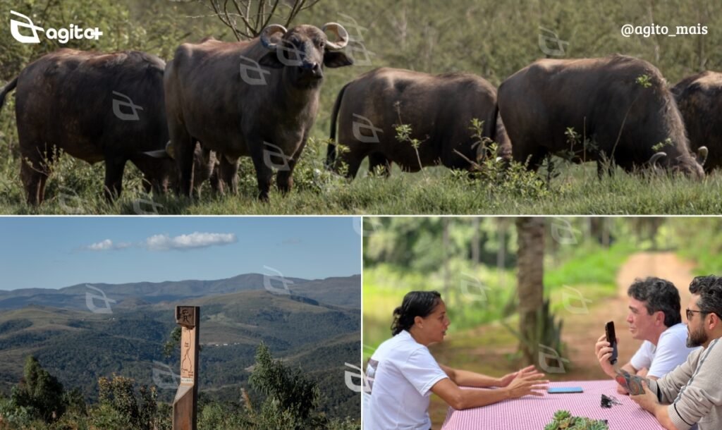 Obra destaca cultura, história e belezas naturais da rota que percorre cinco municípios mineiros. Foto = divulgação Ane Souz.