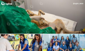 Prefeitura de Itabirito realiza ação do projeto Educastrar, beneficiando tutores e animais na comunidade. Foto — divulgação Prefeitura de Itabirito.