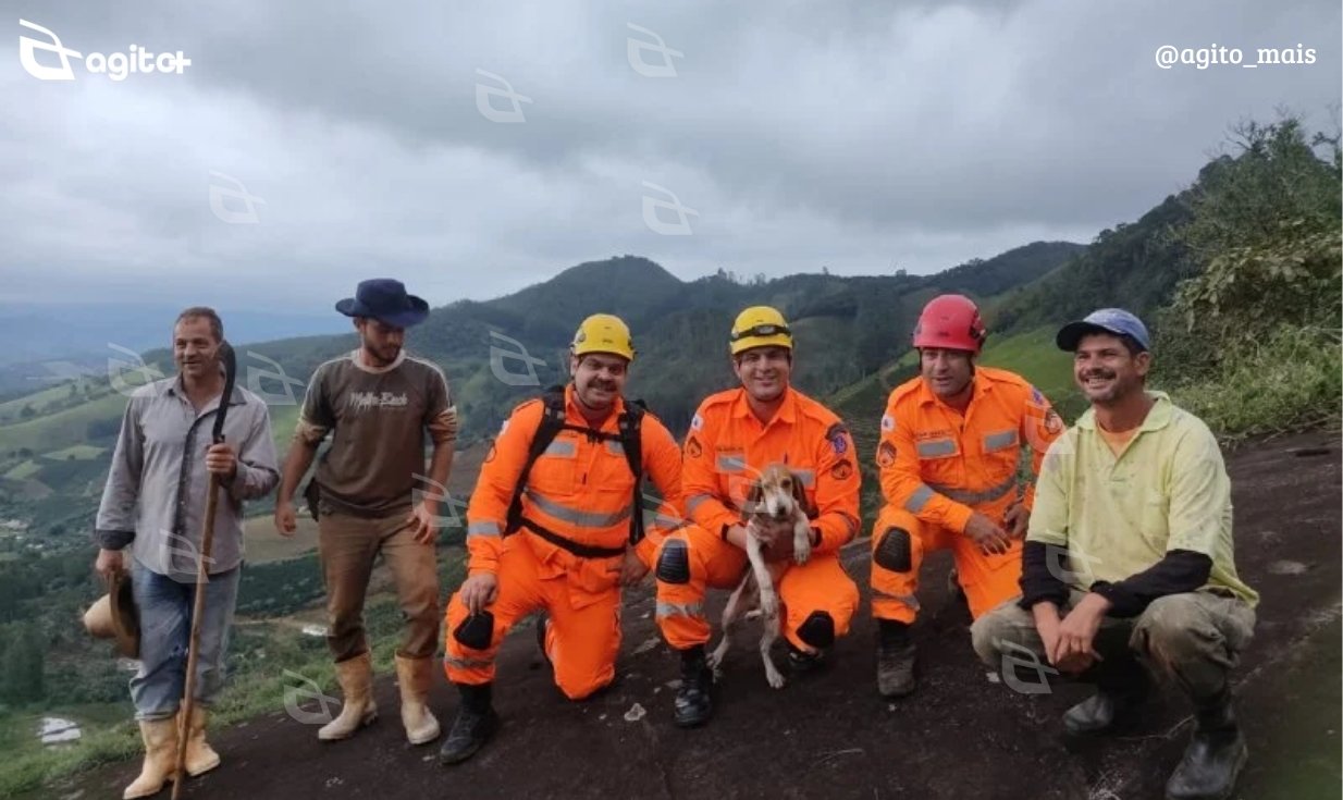 Animal passou horas ilhado em pedreira na Zona da Mata e foi salvo com técnicas de rapel. Foto — divulgação Corpo de Bombeiros.