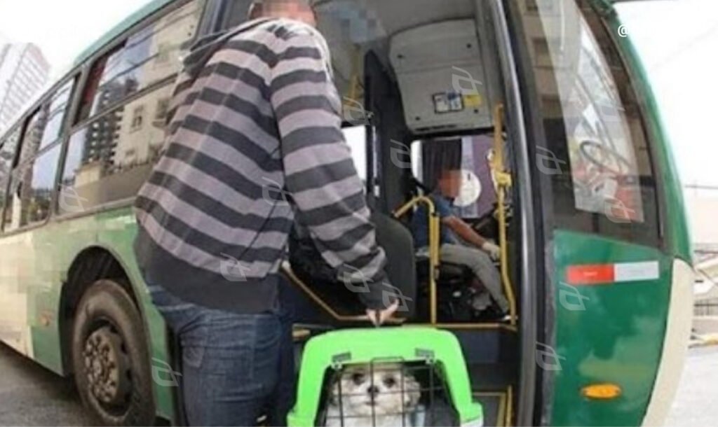 Norma estadual entra em vigor e define requisitos para transporte de cães e gatos de pequeno porte. Foto — AGEMS.