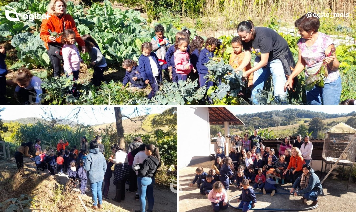 Atividade realizada na Fazenda Matute integra projeto pedagógico com foco na alimentação infantil. Foto — Prefeitura de Itabirito.