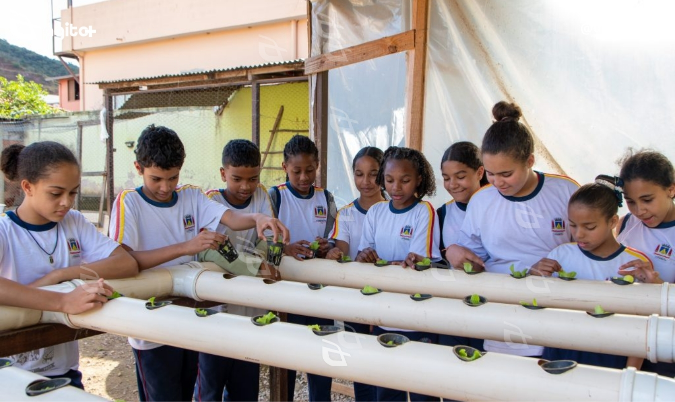 Iniciativa do CEMI, que une criação de peixes e cultivo hidropônico, será apresentada na UFMG e integra rede nacional de experiências inovadoras em educação. Foto — O projeto Aquaponia.