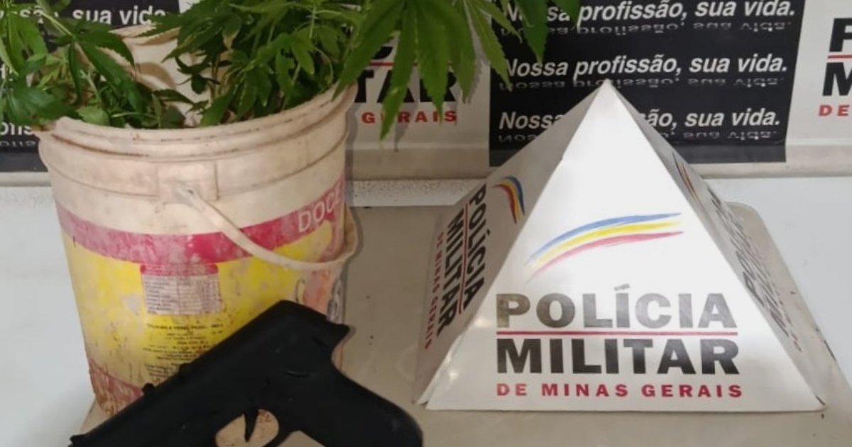 Denúncia anônima levou a Polícia Militar a localizar estufa de maconha e cocaína em residência de suspeito de 18 anos em Mariana (MG). Foto — Polícia Militar.