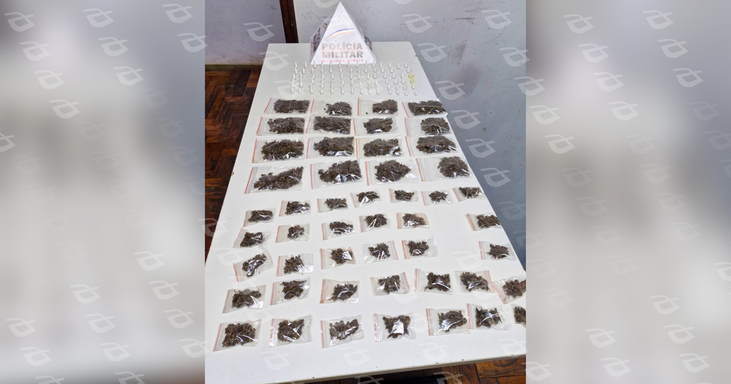 Suspeitos fugiram ao perceber a presença policial; drogas estavam escondidas na vegetação. Foto — Polícia Militar.