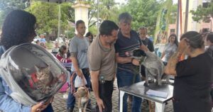Ação de saúde animal ocorreu no Complexo Turístico da Estação com apoio de castramóvel. Foto — Prefeitura de Itabirito.