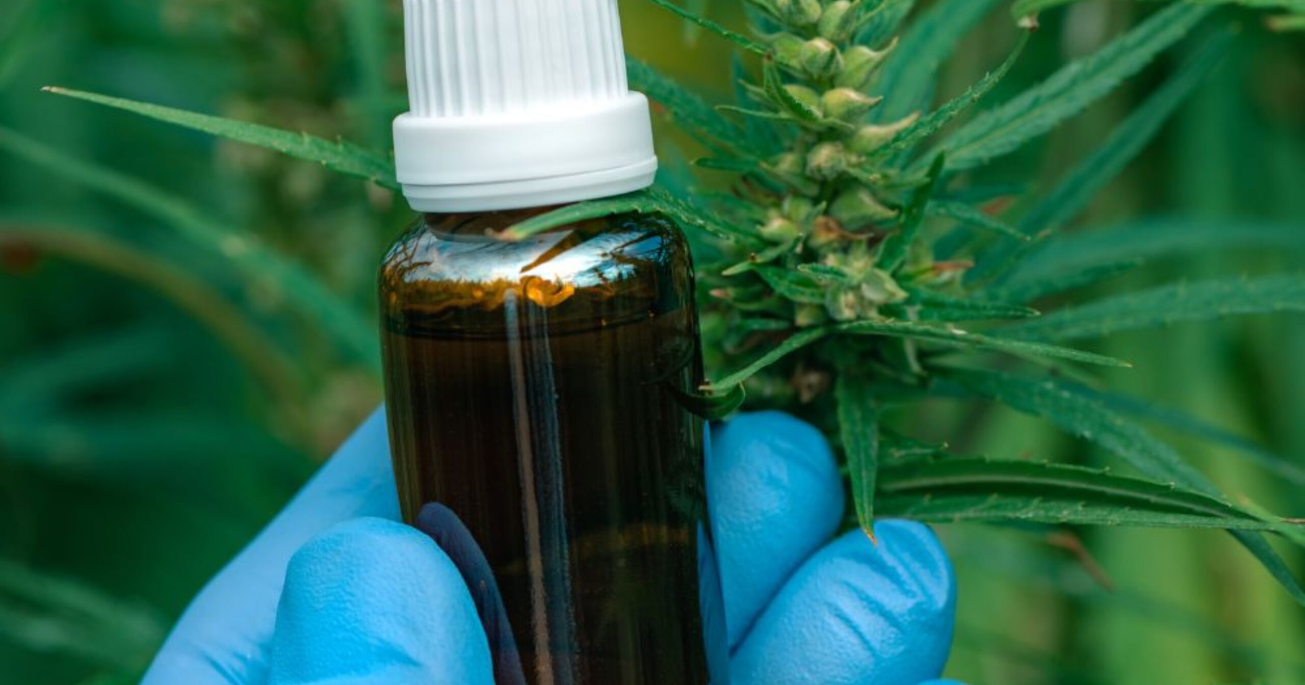 TJMG confirma decisão que obriga fornecimento de medicamento após laudos médicos comprovarem eficácia no tratamento. Foto — meramente ilustrativa / Envato Elements.