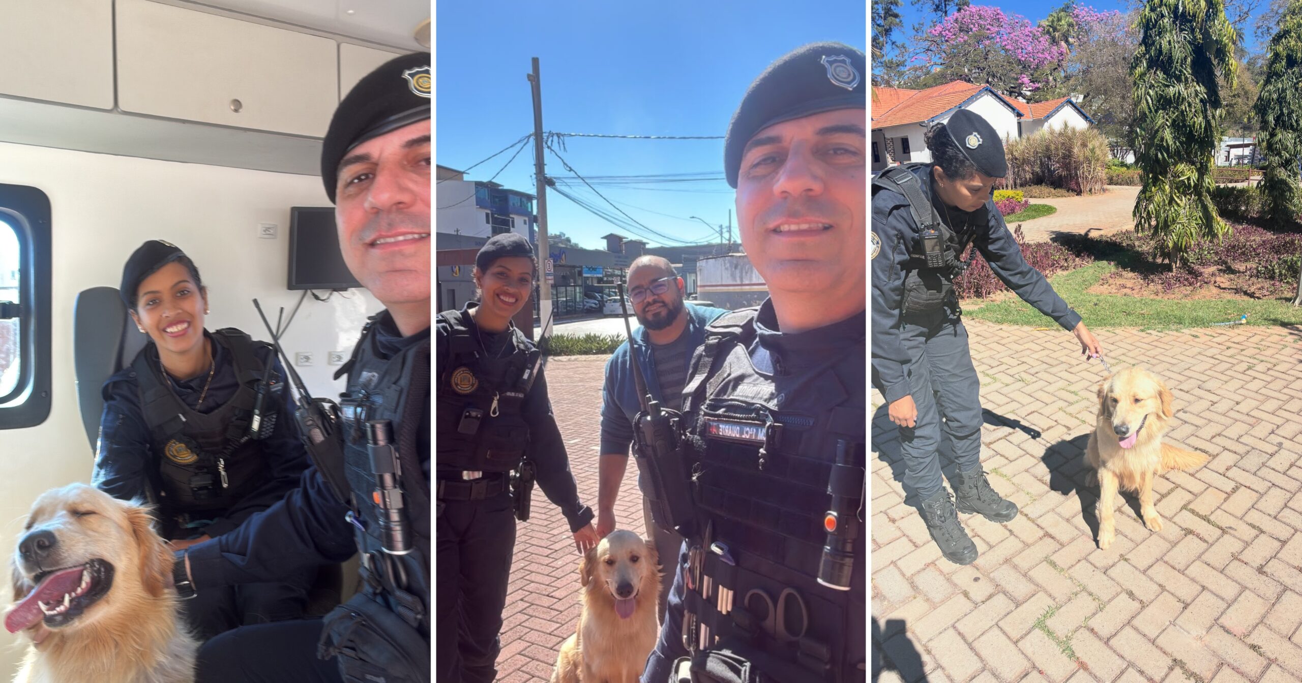 Agentes Irlaya e Duarte localizaram o labrador na Praça do Centenário e garantiram seu retorno seguro à família. Foto — reprodução redes sociais.